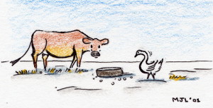 cow-with-goose