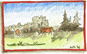cows-grazing