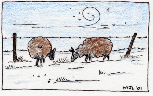 freezing-sheep