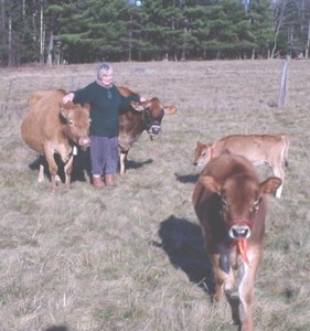 mom-w-all-cows-in-field