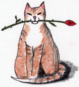 valentine-cat
