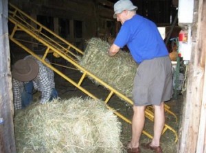 Ken (Amy's Dad) sending hay up the elevator